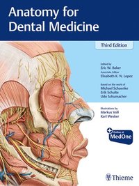 bokomslag Anatomy for Dental Medicine