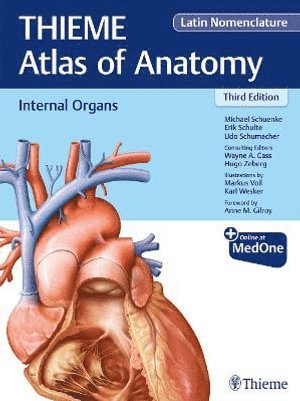 bokomslag Internal Organs (THIEME Atlas of Anatomy), Latin Nomenclature