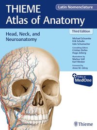 bokomslag Head, Neck, and Neuroanatomy (THIEME Atlas of Anatomy), Latin Nomenclature