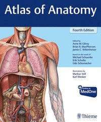 bokomslag Atlas of Anatomy