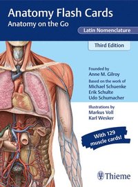 bokomslag Anatomy Flash Cards, Latin Nomenclature: Anatomy on the Go