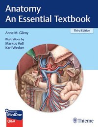 bokomslag Anatomy - An Essential Textbook