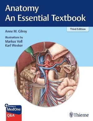 bokomslag Anatomy - an Essential Textbook