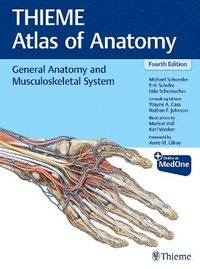 bokomslag General Anatomy and Musculoskeletal System (THIEME Atlas of Anatomy)