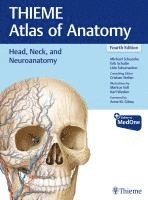 Head, Neck, and Neuroanatomy (THIEME Atlas of Anatomy) 1