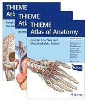 bokomslag Thieme Atlas of Anatomy, Three Volume Set, Fourth Edition