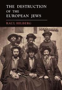 bokomslag Destruction of the European Jews