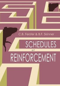 bokomslag Schedules of Reinforcement