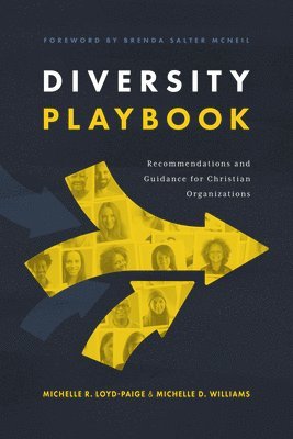 bokomslag Diversity Playbook