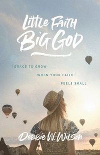 bokomslag Little Faith, Big God: Grace to Grow When Your Faith Feels Small