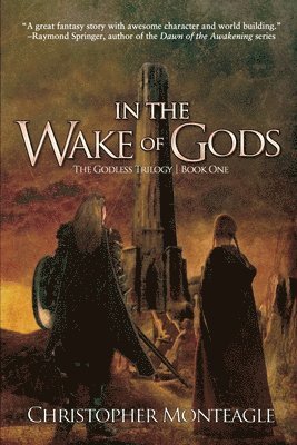 bokomslag In the Wake of Gods