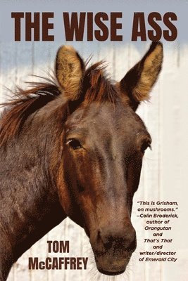 Wise Ass