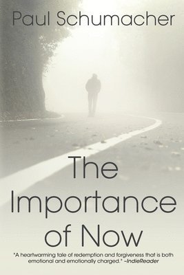 bokomslag Importance of Now