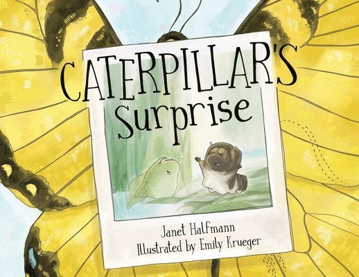 Caterpillar's Surprise 1