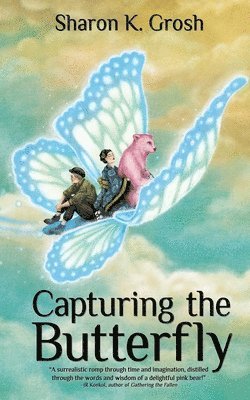 Capturing the Butterfly 1