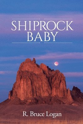 bokomslag Shiprock Baby