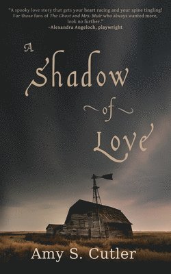 bokomslag Shadow of Love