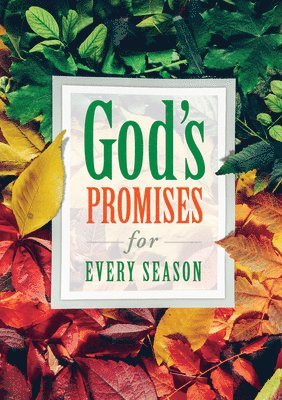 Warner Press - God's Promises for Every Season (Pk of 6), Häftad