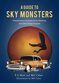 bokomslag A Guide to Sky Monsters