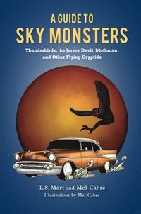 bokomslag Guide to Sky Monsters