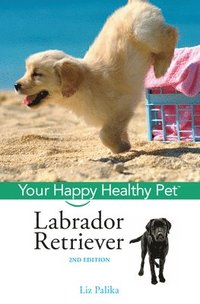bokomslag Labrador Retriever: Your Happy Healthy Pet