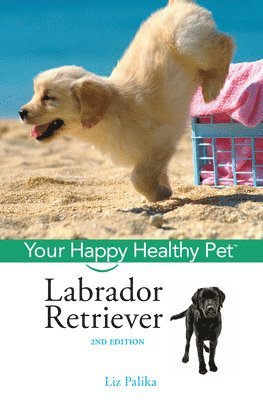Liz Palika - Labrador Retriever, Inbunden