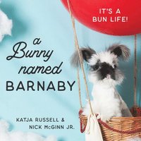 bokomslag A Bunny Named Barnaby