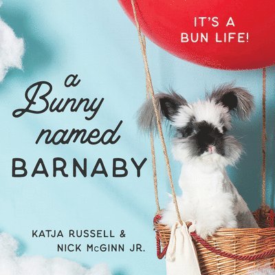 A Bunny Named Barnaby 1