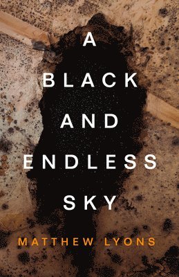 A Black and Endless Sky 1