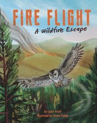 bokomslag Fire Flight: A Wildfire Escape