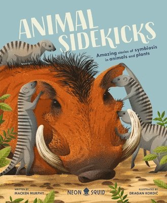 Animal Sidekicks 1