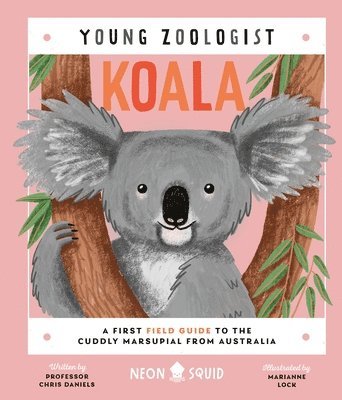 Koala (Young Zoologist) 1