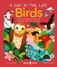 bokomslag Birds (A Day in the Life)