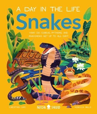 Snakes (A Day In The Life) 1