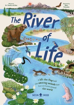 Charles Van Rees, Charles van Rees, Neon Squid, Vicky Armstrong - The River of Life: A Lift-The-Flap Book about the Amazing Animals That Live in Rivers Around the World, Kartonnage