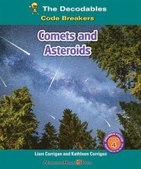 bokomslag Comets and Asteroids