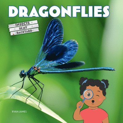 Dragonflies 1