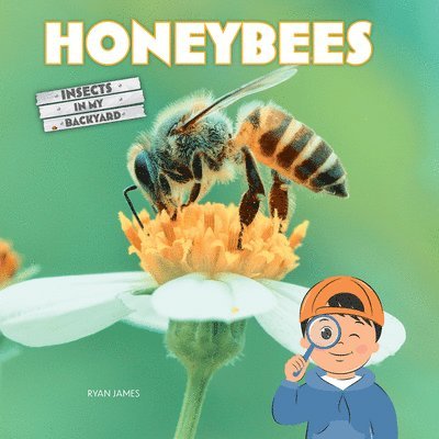 Honeybees 1