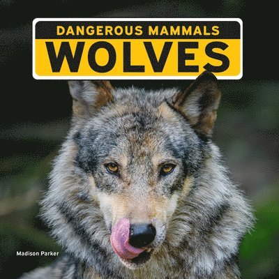 Madison Parker - Wolves, Häftad