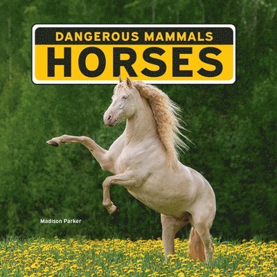 Madison Parker - Horses, Häftad