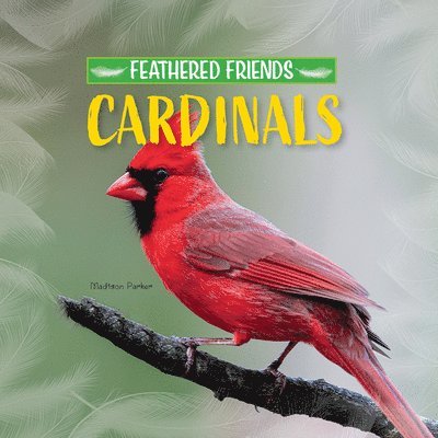 Madison Parker - Cardinals, Häftad