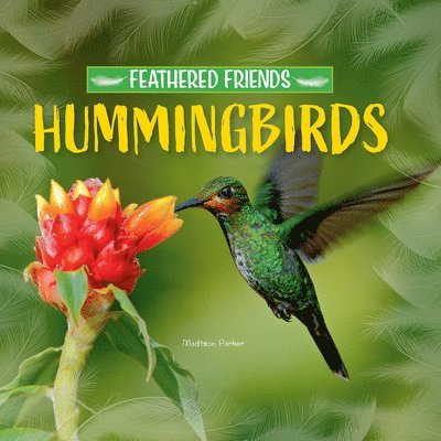 Hummingbirds 1