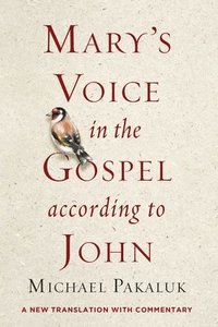 bokomslag Mary's Voice in the Gospel According to John: A New Translation with Commentary