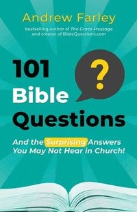 bokomslag 101 Bible Questions