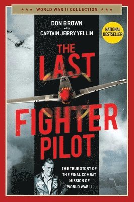 The Last Fighter Pilot 1