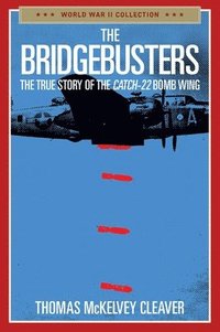 bokomslag The Bridgebusters