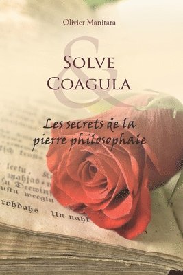 bokomslag Solve Coagula