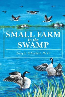 Small Farm in the Swamp 1