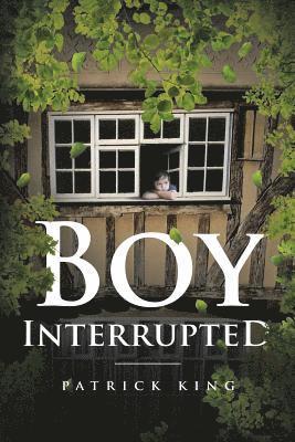 bokomslag Boy Interrupted