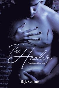 bokomslag The Healer